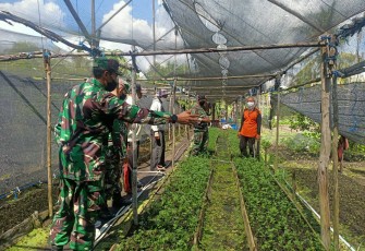 Kodim Palangka Raya Optimalkan Peran Babinsa Dalam Mendukung Ketahanan Pangan Di Wilayah