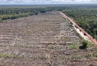 Komersialisasi Hasil Hutan Mengancam Keberlangsungan Hidup Suku Malind