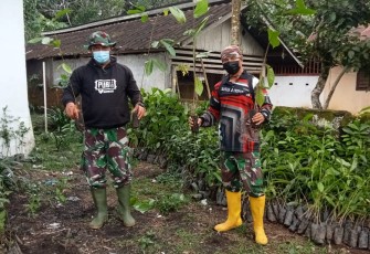 Personil Satgas TMMD Koptu Marinir Steven Dien dan Serda Marinir Anas saat mengatur bibit pohon yang akan di tanam