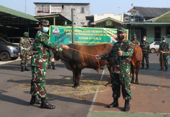 Letkol Inf Loka Jaya menyerahkan hewan kurban