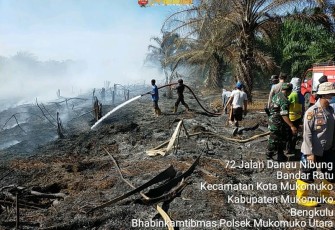 Gotong Royong Padamkan Kebakaran Lahan
