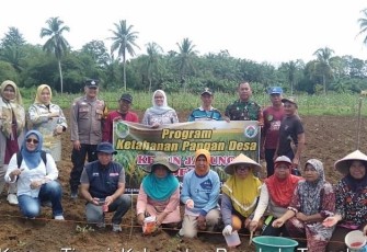 Bhabinkamtibmas Polsek Karang Tinggi saat Tanam Jagung Bersama Warga