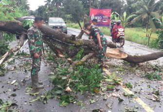 Personel Koramil 1310-03/Likupang bersama warga saat memotong pohon tumbang yang menimpa ruas jalan.