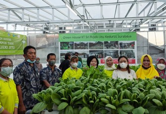 Anggota Komisi B DPRD Jatim Fraksi PDI Perjuangan Agatha Retnosari saat meresmikan Green House Urban Farming Kelompok Tani Sri Rejeki Jitu yang berlokasi di Kelurahan Kedurus, Kecamatan Karangpilang, Surabaya, Jumat (19/08/22).
