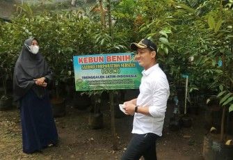 Bupati Trenggalek, Mochamad Nur Arifin, saat mengunjungi pembibitan benih Durian Ripto, khas Kabupaten Trenggalek, milik Saeroji, Desa Dukuh Kecamatan Watilimo, Kabupaten Trenggalek, Rabu (12/1/2022) (Foto : Hardi Rangga, klikwarta.com).