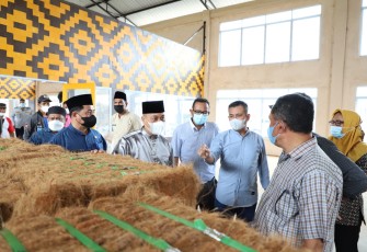 Bupati Lingga saat meninjau Sentra IKM Kelapa di Desa Resang