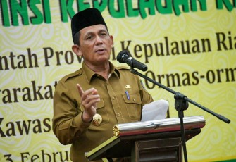 Gubernur Kepri, H.Ansar Ahmad