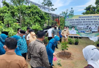 Mendagri RI, Tito Karnavian dan Ketua TP-PKK Pusat, Tri Tito Karnavian, tanam bibit pohon di kebun TP-PKK Kepri
