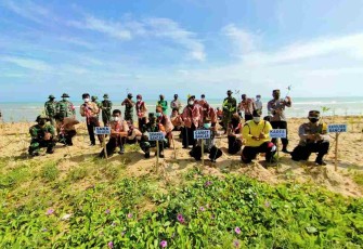 Cegah Abrasi Laut, Tanam Mangrove di Desa Margosuko Kecamatan Bancar Tuban 