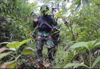 Membelah hutan, Satgas Yonif Mekanis 643/Wns sisir jalur tidak resmi di perbatasan. Rabu (27/4/2022)
