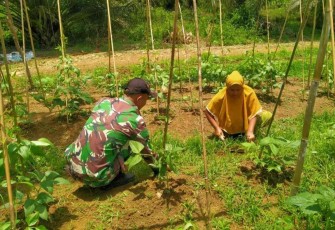 Berkebun bersama warga di perbatasan 