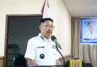 Bupati Labuhanbatu Selatan, H Edimin