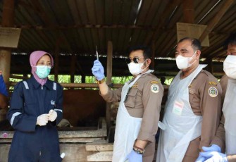 Mentan SYL saat vaksinasi PMK perdana di Kabupaten Sukoharjo 