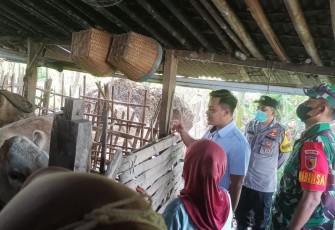 Sidak ternak warga binaan cegah penularan virus PMK