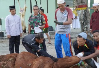 Danrem 081/DSJ saat mengikuti proses penyembelihan hewan kurban di Makorem