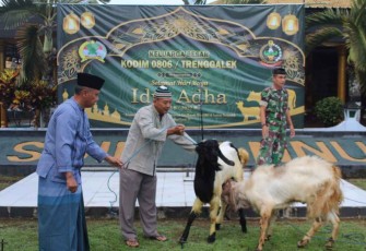Hewan qurban di Masjid An Nuur Kodim 0806/Trenggalek 