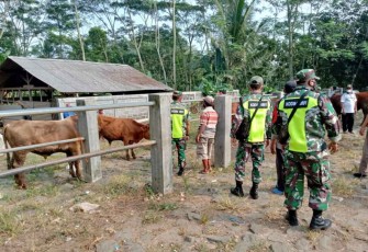 Gencarkan pengecekan hewan ternak antisipasi penyebaran wabah PMK
