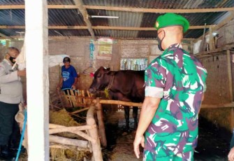 Sosialisasi dan vaksinasi PMK hewan ternak warga binaan