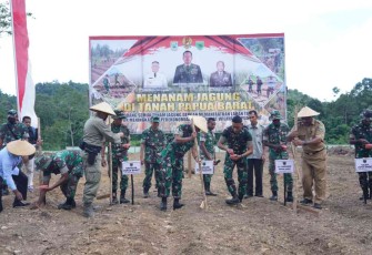 Pangdam Kasuari Mayjen TNI Gabriel Lema saat menanam jagung di lahan tidur