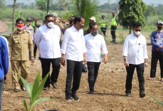 Presiden Jokowi bersama Mentan RI SYL saat launching kelapa Genjah di Sukoharjo 