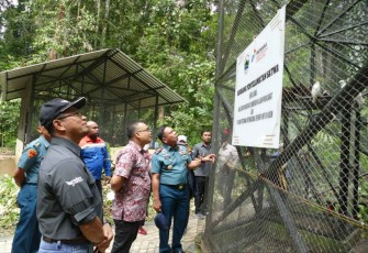 Pangkoarmada III Laksamana Muda TNI Irvansyah saat pelepasan liaran satwa 