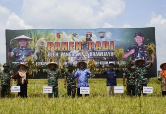 Panen raya padi di wilayah Kodim 0805/Ngawi
