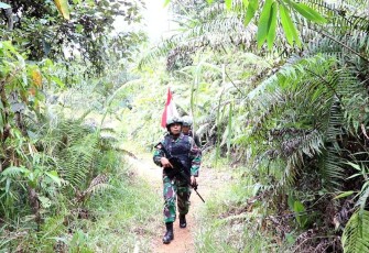 Gencarkan patroli jalan tikus di perbatasan 