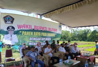 Ketua Komisi II DPRD Kabupaten Blitar Idris Marbawi (duduk paling depan paling kiri) Saat Hadiri Panen Raya Padi bersama Petani dan Wakil Bupati Blitar Rahmat Santoso Beserta Jajaran Terkaitnya