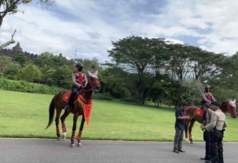 Si cantik kuda Zeppelin dan Berta Von 