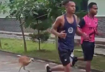 Burung Kasuari ikut berlari dengan calon Tamtama Otsus, Kamis (29/9)