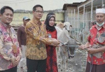 Wakil Walikota Bitung Didampingi Sekda Kota Bitung saat menyerahkan hewan qurban di Masjid Raya Al-Gufran Pateten