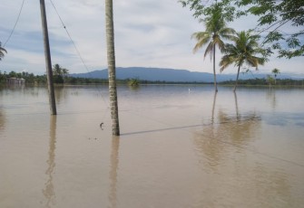 Areal persawahan yang terendam banjir