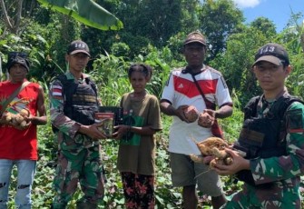 Satgas Yonif 143/TWEJ saat Borong Hasil Panen Warga Papua