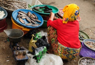 Ilustrasi Pedagang Ikan di Pasar Bawah Bukittinggi (sumber : freepik)