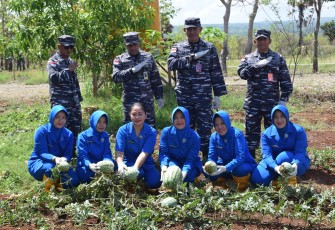 Komandan Pangkalan Udara TNI Angkatan Laut (Danlanudal) Kupang Puspenerbal, Mayor Laut (P) Arief Sukmono Akbar bersama Ketua Cabang 9 Gabungan Jalasenastri Puspenerbal dan Pengurus serta seluruh Personel, turut dalam proses panen buah Semangka, Kunyit serta Madu