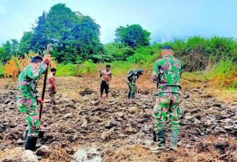 Personel Kesatria Jaya Satgas YR 142/KJ saat Bantu Warga Buka Lahan Perkebunan