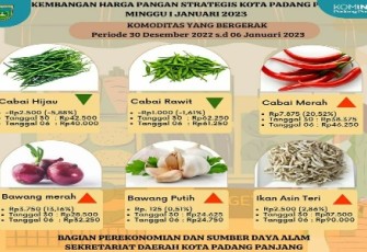 Perkembangan harga pangan strategis Kota Padang Panjang Awal 2023.