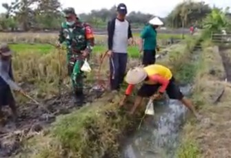 Gropyokan tikus wilayah desa binaan