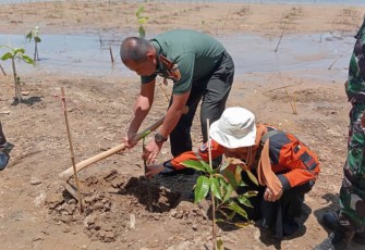 Penanaman mangrove di desa Sidomulyo 