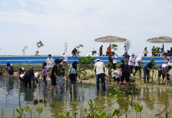 Mahasiswa UPER dan UTP saat melaksanakan penanaman mangrove dalam kegiatan Community Service Collaboration di pesisir Pulau Untung Jawa, Kepulauan Seribu, Selasa (02/05).