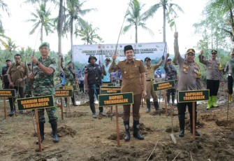 Dandim 0806/Trenggalek Letkol Kav Peddy Adi Prasetyo tanam mangrove di pesisir pantai Cengkrong, Senin (15/5)