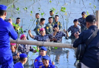 Danlantamal VI Makassar Brigjen TNI (Mar) Amir Kasman saat tanam mangrove 
