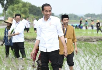 Presiden Joko Widodo menanam padi bersama para petani di Kawasan Daulat Pangan Serikat Petani Indonesia, Desa Senori, Kecamatan Merakurak, Kabupaten Tuban, Provinsi Jawa Timur, pada Kamis, 6 April 2023