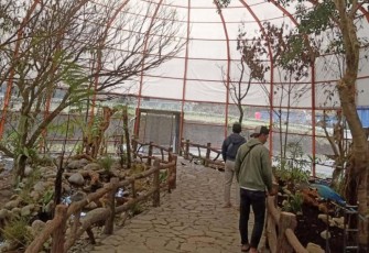 D'Las Zoo Wisata Baru di Kabupaten Purbalingga Jawa Tengah 