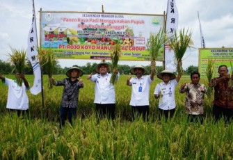Bupati Blora Arief Rohman ikut panen raya padi petani Desa Tanjung yang menggunakan pupuk organik.