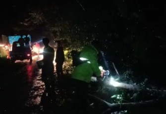 Respon Cepat, Personel Polsek Air Besi Evakuasi Pohon Tumbang