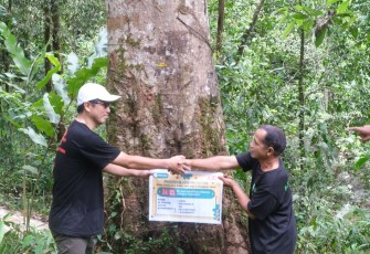 Bupati Bengkulu Utara Wajibkan OPD Asuh Pohon di Hutan Desa Lemo Nakai