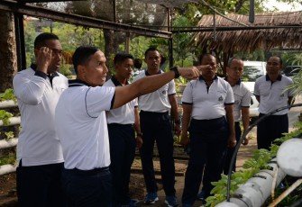 Danlantamal V Tinjau Kebun Korcab V DJA II