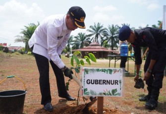 Pemprov Apresiasi Penanaman 10 Juta Pohon se-Indonesia