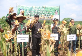 Dandim Ngawi Bersama Forkopimda saat Panen Raya Jagung di Wilayah Khusus LMDH Wono Sedyo Mulyo